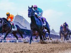 Peluang, tanggal, prediksi Belmont Stakes 2026: Pakar yang menyebutkan 4 dari 8 pemenang terakhir mengungkapkan pilihan pacuan kuda
| beritakitanih Peluang, tanggal, prediksi Belmont Stakes 2026: Pakar yang menyebutkan 4 dari 8 pemenang terakhir mengungkapkan pilihan pacuan kuda
| beritakitanih