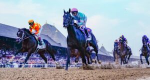 Peluang, tanggal, prediksi Belmont Stakes 2026: Pakar yang menyebutkan 4 dari 8 pemenang terakhir mengungkapkan pilihan pacuan kuda
| beritakitanih Peluang, tanggal, prediksi Belmont Stakes 2026: Pakar yang menyebutkan 4 dari 8 pemenang terakhir mengungkapkan pilihan pacuan kuda
| beritakitanih