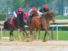 Prediksi Belmont Stakes 2026, kuda, peluang, posisi pos: Pilihan mengejutkan dari pakar balap elit
| beritakitanih Prediksi Belmont Stakes 2026, kuda, peluang, posisi pos: Pilihan mengejutkan dari pakar balap elit
| beritakitanih