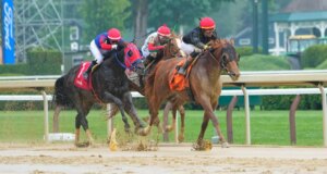 Prediksi Belmont Stakes 2026, kuda, peluang, posisi pos: Pilihan mengejutkan dari pakar balap elit
| beritakitanih Prediksi Belmont Stakes 2026, kuda, peluang, posisi pos: Pilihan mengejutkan dari pakar balap elit
| beritakitanih
