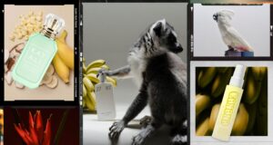 7 Parfum Pisang Nostalgia yang Lucu untuk Dicoba Musim Panas Ini
| beritakitanih 7 Parfum Pisang Nostalgia yang Lucu untuk Dicoba Musim Panas Ini
| beritakitanih