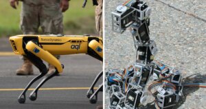 7 robot yang terinspirasi dari hewan memecahkan tantangan teknik dunia nyata
| beritakitanih 7 robot yang terinspirasi dari hewan memecahkan tantangan teknik dunia nyata
| beritakitanih