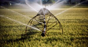 Amazon mengatakan pusat datanya hanya mengonsumsi 0,075% air yang digunakan orang Amerika untuk menyiram halaman dan kebun mereka — perusahaan juga membanggakan peningkatan efisiensi airnya.
| beritakitanih Amazon mengatakan pusat datanya hanya mengonsumsi 0,075% air yang digunakan orang Amerika untuk menyiram halaman dan kebun mereka — perusahaan juga membanggakan peningkatan efisiensi airnya.
| beritakitanih