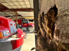 Anggota parlemen negara bagian menolak semua tindakan pajak penjualan lokal
| beritakitanih Anggota parlemen negara bagian menolak semua tindakan pajak penjualan lokal
| beritakitanih
