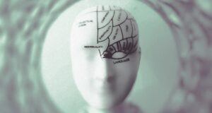 Apakah ambisi hanyalah rasa tidak aman yang terselubung?
| beritakitanih Apakah ambisi hanyalah rasa tidak aman yang terselubung?
| beritakitanih
