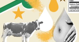Apakah kolostrum sapi benar-benar ‘emas cair’ untuk kesehatan usus?
| beritakitanih Apakah kolostrum sapi benar-benar 'emas cair' untuk kesehatan usus?
| beritakitanih