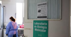 Argentina memperluas penyelidikan hantavirus; mengirimkan tim untuk menguji tikus di Mendoza
| beritakitanih Argentina memperluas penyelidikan hantavirus; mengirimkan tim untuk menguji tikus di Mendoza
| beritakitanih