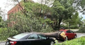Badai hebat menumbangkan pepohonan, memutus aliran listrik ke ribuan orang di seluruh Minnesota
| beritakitanih Badai hebat menumbangkan pepohonan, memutus aliran listrik ke ribuan orang di seluruh Minnesota
| beritakitanih