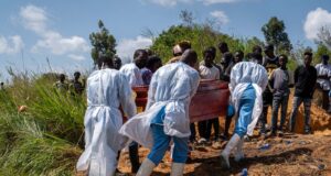 Bagaimana Ebola membunuh — dan apa yang diperlukan untuk menghentikannya
| beritakitanih Bagaimana Ebola membunuh -- dan apa yang diperlukan untuk menghentikannya
| beritakitanih