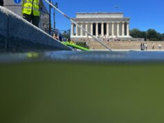 Bagaimana dan mengapa ganggang mengaburkan visi Trump untuk Kolam Refleksi ‘bendera Amerika biru’
| beritakitanih Bagaimana dan mengapa ganggang mengaburkan visi Trump untuk Kolam Refleksi 'bendera Amerika biru'
| beritakitanih