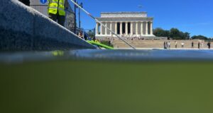 Bagaimana dan mengapa ganggang mengaburkan visi Trump untuk Kolam Refleksi ‘bendera Amerika biru’
| beritakitanih Bagaimana dan mengapa ganggang mengaburkan visi Trump untuk Kolam Refleksi 'bendera Amerika biru'
| beritakitanih