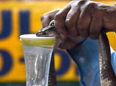 Bagaimana gigitan ular mendorong keluarga-keluarga di pedesaan semakin jauh ke dalam jurang kemiskinan
| beritakitanih Bagaimana gigitan ular mendorong keluarga-keluarga di pedesaan semakin jauh ke dalam jurang kemiskinan
| beritakitanih