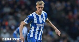 Brighton mengharapkan tawaran kedua Spurs untuk Van Hecke
| beritakitanih Brighton mengharapkan tawaran kedua Spurs untuk Van Hecke
| beritakitanih