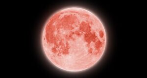 Bulan purnama bulan Juni 2026: Lihatlah ke atas untuk melihat ‘Bulan Stroberi’ yang megah, tetapi jangan berharap bulan itu tampak merah
| beritakitanih Bulan purnama bulan Juni 2026: Lihatlah ke atas untuk melihat 'Bulan Stroberi' yang megah, tetapi jangan berharap bulan itu tampak merah
| beritakitanih