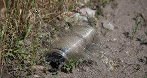 Burung-burung di Ukraina beradaptasi dengan lingkungan medan perang, membuat sarang dari kabel serat optik drone — satwa liar yang pandai beradaptasi dengan bermil-mil serat drone yang berserakan
| beritakitanih Burung-burung di Ukraina beradaptasi dengan lingkungan medan perang, membuat sarang dari kabel serat optik drone — satwa liar yang pandai beradaptasi dengan bermil-mil serat drone yang berserakan
| beritakitanih