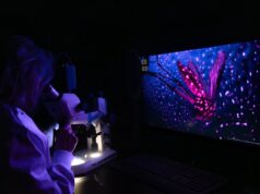 Dari nyamuk neon hingga migrasi bersayap, gambar terbaik yang diambil oleh para ilmuwan
| beritakitanih Dari nyamuk neon hingga migrasi bersayap, gambar terbaik yang diambil oleh para ilmuwan
| beritakitanih