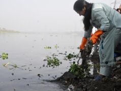Delhi CM memimpin upaya kebersihan tepi sungai Yamuna
| beritakitanih Delhi CM memimpin upaya kebersihan tepi sungai Yamuna
| beritakitanih