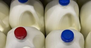 Ekspansi produk susu Morris tidak memerlukan studi lingkungan
| beritakitanih Ekspansi produk susu Morris tidak memerlukan studi lingkungan
| beritakitanih