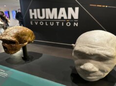 Evolusi manusia tidak terjadi secara tiba-tiba; terungkap secara bertahap seiring berjalannya waktu: Pelajari klaim
| beritakitanih Evolusi manusia tidak terjadi secara tiba-tiba; terungkap secara bertahap seiring berjalannya waktu: Pelajari klaim
| beritakitanih