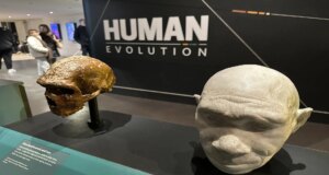 Evolusi manusia tidak terjadi secara tiba-tiba; terungkap secara bertahap seiring berjalannya waktu: Pelajari klaim
| beritakitanih Evolusi manusia tidak terjadi secara tiba-tiba; terungkap secara bertahap seiring berjalannya waktu: Pelajari klaim
| beritakitanih