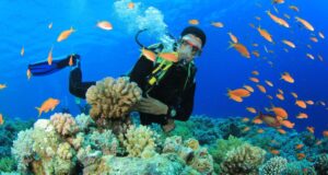 Hari Laut Sedunia 2026: Bagaimana menyelam mengubah kehidupan komunitas Karen dan Ranchi di Andaman
| beritakitanih Hari Laut Sedunia 2026: Bagaimana menyelam mengubah kehidupan komunitas Karen dan Ranchi di Andaman
| beritakitanih