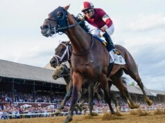 How to bet on the 2026 Belmont Stakes: Betting guide, picks, odds, predictions, promos, start time at Saratoga | beritakitanih How to bet on the 2026 Belmont Stakes: Betting guide, picks, odds, predictions, promos, start time at Saratoga | beritakitanih