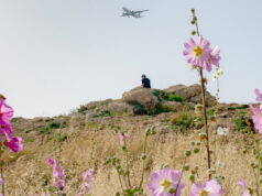 I Went to Lebanon and Found Something Strangely Hopeful | beritakitanih I Went to Lebanon and Found Something Strangely Hopeful | beritakitanih