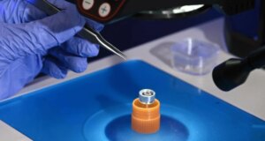 Keadaan plutonium langka yang dapat meningkatkan reaktor nuklir ditemukan oleh para peneliti AS
| beritakitanih Keadaan plutonium langka yang dapat meningkatkan reaktor nuklir ditemukan oleh para peneliti AS
| beritakitanih
