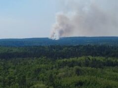 Kebakaran hutan yang terjadi di dekat Danau Burntside memaksa evakuasi
| beritakitanih Kebakaran hutan yang terjadi di dekat Danau Burntside memaksa evakuasi
| beritakitanih