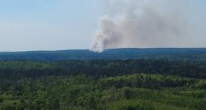 Kebakaran hutan yang terjadi di dekat Danau Burntside memaksa evakuasi
| beritakitanih Kebakaran hutan yang terjadi di dekat Danau Burntside memaksa evakuasi
| beritakitanih