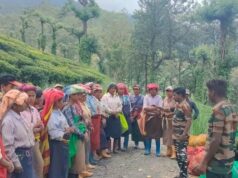 Kegiatan kesadaran, langkah-langkah keamanan di dataran tinggi Valparai mengingat musim hujan
| beritakitanih Kegiatan kesadaran, langkah-langkah keamanan di dataran tinggi Valparai mengingat musim hujan
| beritakitanih