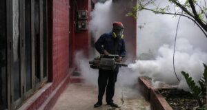 Mengapa wabah demam berdarah di Sri Lanka membebani sektor kesehatan masyarakatnya? | Dijelaskan
| beritakitanih Mengapa wabah demam berdarah di Sri Lanka membebani sektor kesehatan masyarakatnya? | Dijelaskan
| beritakitanih