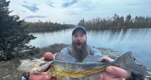 Minnesota DNR memulai sistem perizinan baru
| beritakitanih Minnesota DNR memulai sistem perizinan baru
| beritakitanih