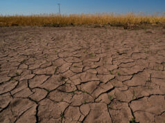 NOAA Mengeluarkan Peringatan El Nino
| beritakitanih NOAA Mengeluarkan Peringatan El Nino
| beritakitanih