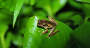 Para peneliti memeriksa 40.000 lokasi, 5.100 spesies; menemukan dampak perubahan iklim yang sangat besar
| beritakitanih Para peneliti memeriksa 40.000 lokasi, 5.100 spesies; menemukan dampak perubahan iklim yang sangat besar
| beritakitanih