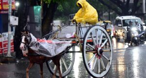 Pelacak musim hujan LANGSUNG: Delhi mengalami pendinginan akibat hujan; diperkirakan akan mengurangi dampak mulai tanggal 14 Juni
| beritakitanih Pelacak musim hujan LANGSUNG: Delhi mengalami pendinginan akibat hujan; diperkirakan akan mengurangi dampak mulai tanggal 14 Juni
| beritakitanih