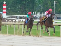 Prediksi Belmont Stakes 2026, kuda, peluang, posisi pos: Pilihan mengejutkan dari handicapper elit
| beritakitanih Prediksi Belmont Stakes 2026, kuda, peluang, posisi pos: Pilihan mengejutkan dari handicapper elit
| beritakitanih