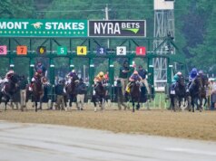Prediksi Belmont Stakes 2026, kuda, peluang, postingan: Pilihan mengejutkan melalui handicapper elit
| beritakitanih Prediksi Belmont Stakes 2026, kuda, peluang, postingan: Pilihan mengejutkan melalui handicapper elit
| beritakitanih