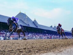 Prediksi Belmont Stakes 2026, peluang, kuda, waktu: Menang, tempat, pertunjukan, tepat, trifecta, superfecta
| beritakitanih Prediksi Belmont Stakes 2026, peluang, kuda, waktu: Menang, tempat, pertunjukan, tepat, trifecta, superfecta
| beritakitanih