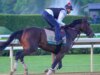 Prediksi Belmont Stakes 2026, peluang, lapangan, lokasi, lintasan, waktu: Pilihan dari pakar balap kuda elit
| beritakitanih Prediksi Belmont Stakes 2026, peluang, lapangan, lokasi, lintasan, waktu: Pilihan dari pakar balap kuda elit
| beritakitanih