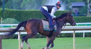 Prediksi Belmont Stakes 2026, peluang, lapangan, lokasi, lintasan, waktu: Pilihan dari pakar balap kuda elit
| beritakitanih Prediksi Belmont Stakes 2026, peluang, lapangan, lokasi, lintasan, waktu: Pilihan dari pakar balap kuda elit
| beritakitanih