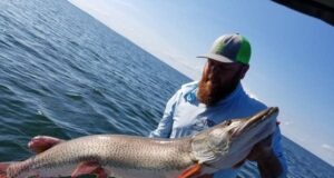 Rencana Muskie mendorong pemancing untuk melacak ikan tersebut
| beritakitanih Rencana Muskie mendorong pemancing untuk melacak ikan tersebut
| beritakitanih