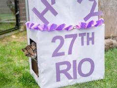 Rio si ocelot di suaka kucing liar Minnesota berusia 27 tahun
| beritakitanih Rio si ocelot di suaka kucing liar Minnesota berusia 27 tahun
| beritakitanih