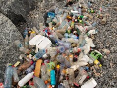 Sampah plastik diubah menjadi bahan bakar jet berkualitas tinggi dengan katalis baru berskala atom
| beritakitanih Sampah plastik diubah menjadi bahan bakar jet berkualitas tinggi dengan katalis baru berskala atom
| beritakitanih