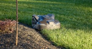 Saya mencoba mesin pemotong rumput robot. Itu tidak berjalan sesuai rencana
| beritakitanih Saya mencoba mesin pemotong rumput robot. Itu tidak berjalan sesuai rencana
| beritakitanih