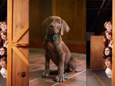 Serial ‘Scooby-Doo’ menampilkan anjing sungguhan untuk pertama kalinya: Apa yang dikatakan PETA dan kelompok hak asasi hewan tentangnya
| beritakitanih Serial 'Scooby-Doo' menampilkan anjing sungguhan untuk pertama kalinya: Apa yang dikatakan PETA dan kelompok hak asasi hewan tentangnya
| beritakitanih