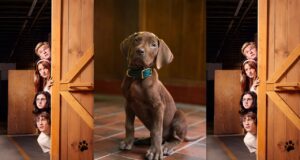 Serial ‘Scooby-Doo’ menampilkan anjing sungguhan untuk pertama kalinya: Apa yang dikatakan PETA dan kelompok hak asasi hewan tentangnya
| beritakitanih Serial 'Scooby-Doo' menampilkan anjing sungguhan untuk pertama kalinya: Apa yang dikatakan PETA dan kelompok hak asasi hewan tentangnya
| beritakitanih
