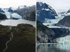 Sistem pembelajaran mesin mendeteksi 1.750 gempa mikro yang menguraikan zona subduksi di lepas pantai Alaska
| beritakitanih Sistem pembelajaran mesin mendeteksi 1.750 gempa mikro yang menguraikan zona subduksi di lepas pantai Alaska
| beritakitanih