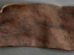 Tablet Romawi misterius dengan kutukan Mesir yang ditulis oleh budak ditemukan di pemukiman militer
| beritakitanih Tablet Romawi misterius dengan kutukan Mesir yang ditulis oleh budak ditemukan di pemukiman militer
| beritakitanih
