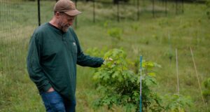 The Forest Service says it’s closing offices to cut costs. But the math doesn’t add up | beritakitanih The Forest Service says it's closing offices to cut costs. But the math doesn't add up | beritakitanih